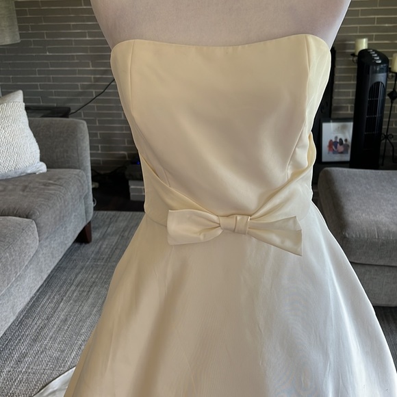 Amsale Reed Wedding Gown 10 - Picture 6 of 13